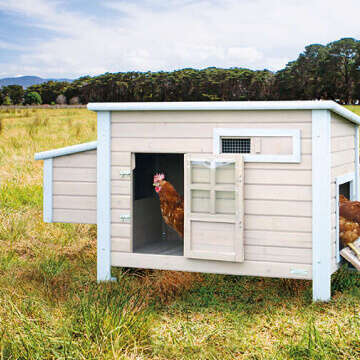 Huehnerhaltung Bubblenavibanner